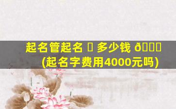起名管起名 ☘ 多少钱 🍀 (起名字费用4000元吗)